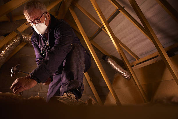 Best Insulation Replacement Services  in Crestview Hills, KY